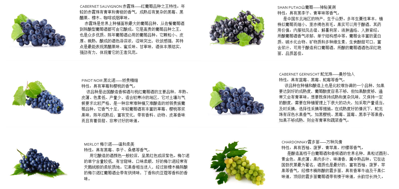 紫轩酒业